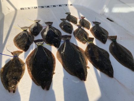 Magic（マジック） 釣果