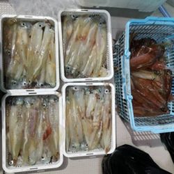 泰丸 釣果