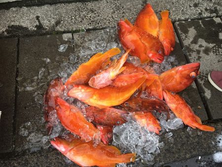 伊豆下田フィッシング 釣果