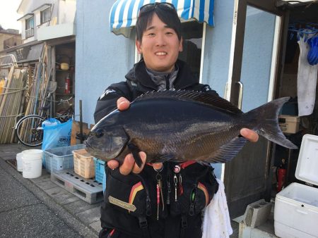 伊豆下田フィッシング 釣果