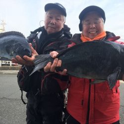 伊豆下田フィッシング 釣果