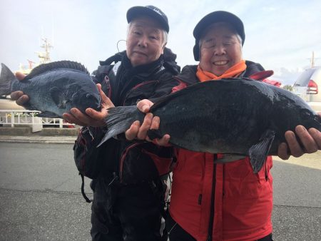 伊豆下田フィッシング 釣果