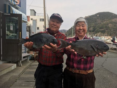 伊豆下田フィッシング 釣果