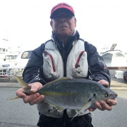 伊豆下田フィッシング 釣果