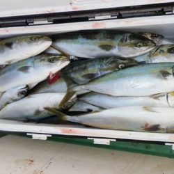 第二むつ漁丸 釣果