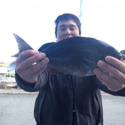伊豆下田フィッシング 釣果