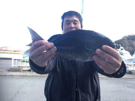 伊豆下田フィッシング 釣果