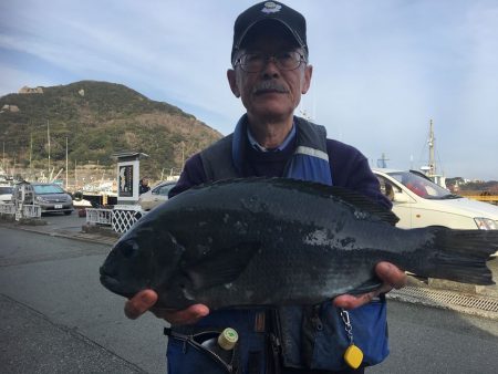 伊豆下田フィッシング 釣果