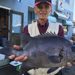伊豆下田フィッシング 釣果