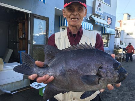 伊豆下田フィッシング 釣果