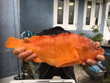 伊豆下田フィッシング 釣果