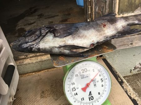 伊豆下田フィッシング 釣果