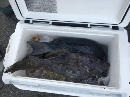 伊豆下田フィッシング 釣果