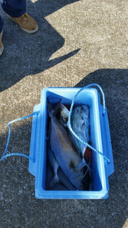 第五慶門丸 釣果