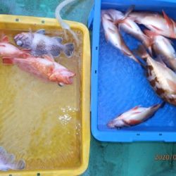 第二むつ漁丸 釣果