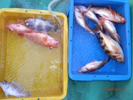 第二むつ漁丸 釣果