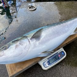 まるいち丸 ZERO-1 釣果