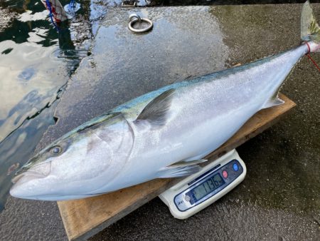 まるいち丸 ZERO-1 釣果