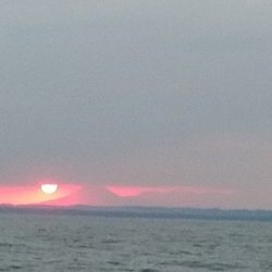 遊漁船 新鋭丸 釣果