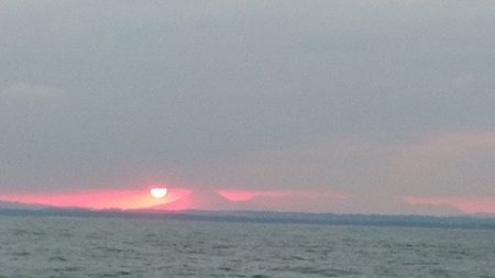 遊漁船 新鋭丸 釣果