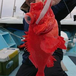 結愛丸 釣果