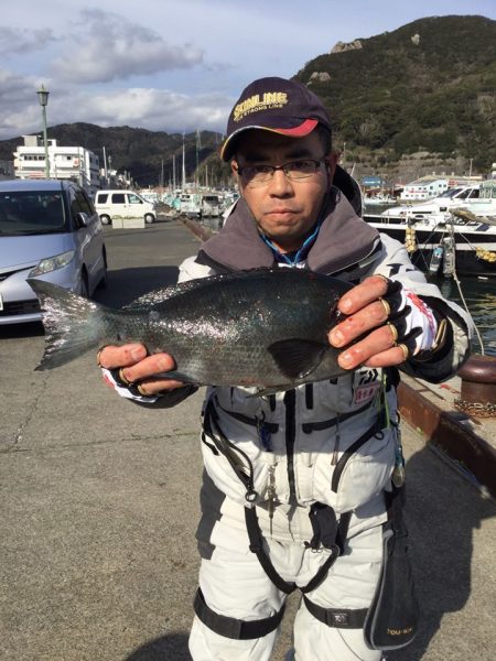 伊豆下田フィッシング 釣果