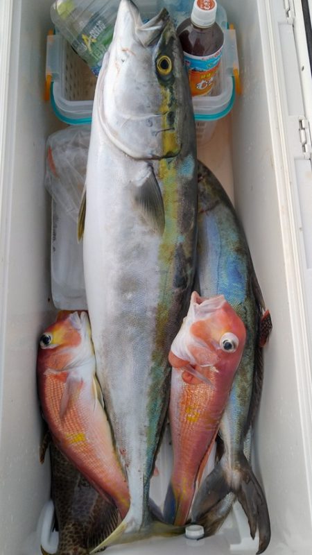 遊漁船 新鋭丸 釣果