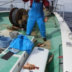 第二むつ漁丸 釣果