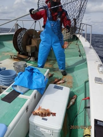 第二むつ漁丸 釣果