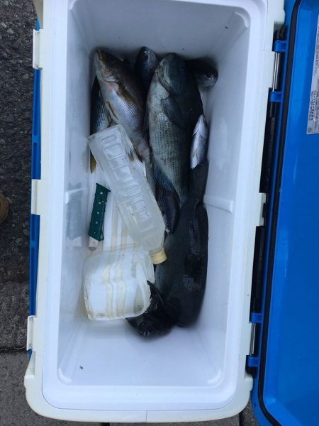 伊豆下田フィッシング 釣果