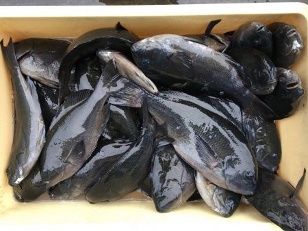 伊豆下田フィッシング 釣果