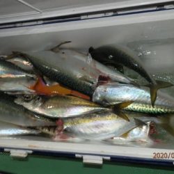 第二むつ漁丸 釣果