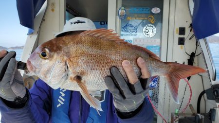 遊漁船 ニライカナイ 釣果