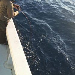 第五慶門丸 釣果