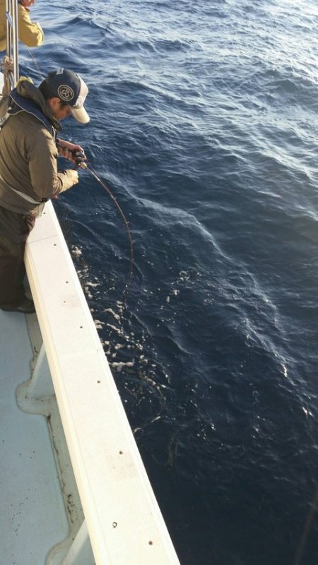 第五慶門丸 釣果