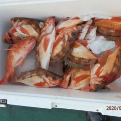 第二むつ漁丸 釣果