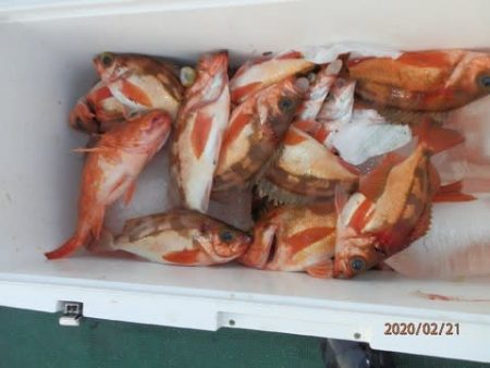 第二むつ漁丸 釣果