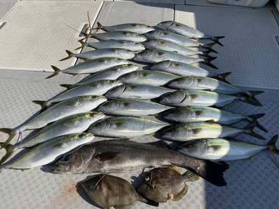 ミタチ丸 釣果
