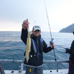 まるいち丸 ZERO-1 釣果