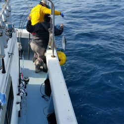 第五慶門丸 釣果