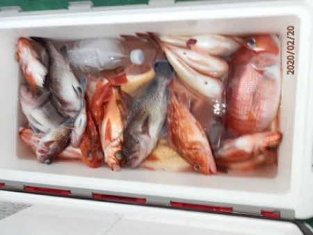 第二むつ漁丸 釣果