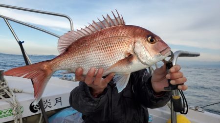 遊漁船　ニライカナイ 釣果