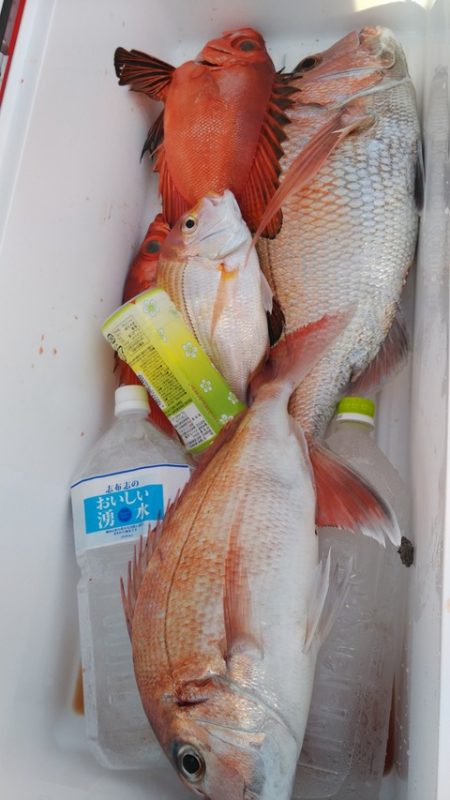 遊漁船 新鋭丸 釣果