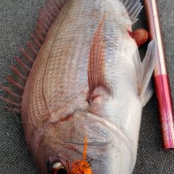 遊漁船 新鋭丸 釣果