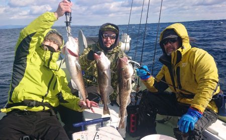 気仙沼　つり丸 釣果