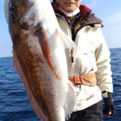 遊漁船 新鋭丸 釣果