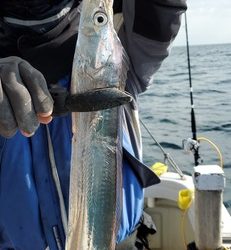 遊漁船　ニライカナイ 釣果