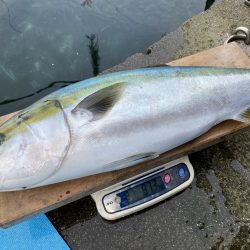 まるいち丸 ZERO-1 釣果