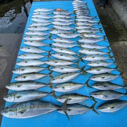 まるいち丸 ZERO-1 釣果