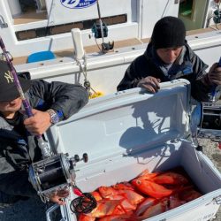 番匠高宮丸 釣果